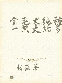 金毛犬纯种幼犬一只大约多少钱