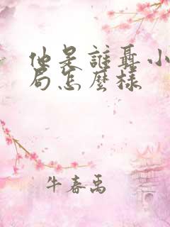 他是谁聂小雨结局怎么样