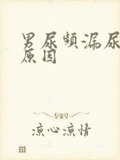 男尿频漏尿什么原因