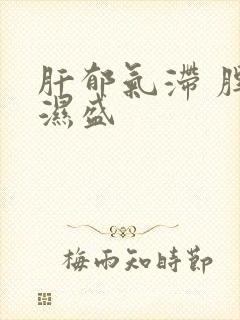 肝郁气滞 脾虚湿盛