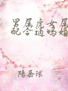 男属虎女属马婚配合适吗婚姻如何