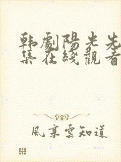 韩剧阳光先生全集在线观看