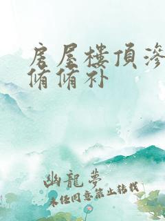 房屋楼顶渗水维修修补