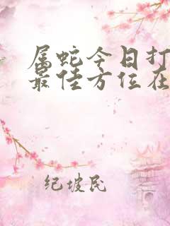 属蛇今日打麻将最佳方位在哪里