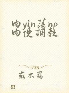 肉yin荡np肉便调教