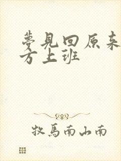 梦见回原来的地方上班