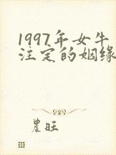 1997年女牛注定的姻缘