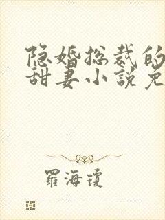 隐婚总裁的绯闻甜妻小说免费阅读