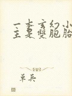 一本玄幻小说女主是双胞胎