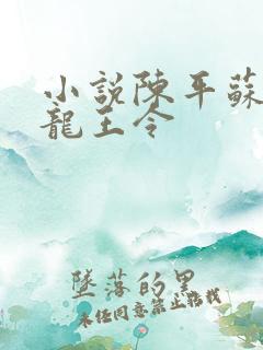 小说陈平苏雨琪龙王令
