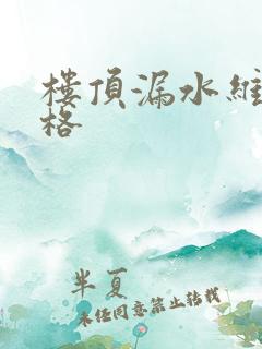 楼顶漏水维修价格