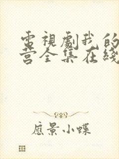 电视剧我的特一营全集在线观看