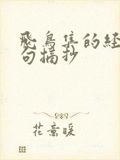 飞鸟集的经典名句摘抄