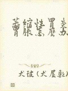 萎缩性胃炎总是胃胀怎么办