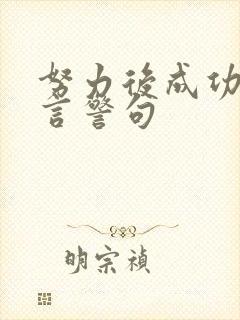 努力后成功的名言警句