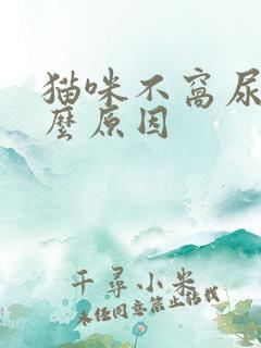 猫咪不窝尿是什么原因