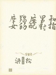 摩羯座男和射手女的配对指数