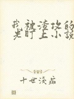 我被渣攻的白月光盯上小说免费阅读笔趣阁