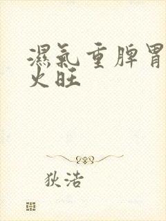 湿气重脾胃虚肝火旺