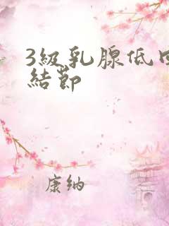 3级乳腺低回声结节