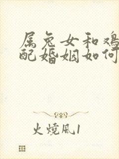 属兔女和鸡男相配婚姻如何