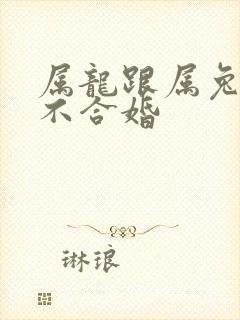 属龙跟属兔的合不合婚