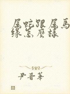 属蛇跟属马的姻缘怎么样