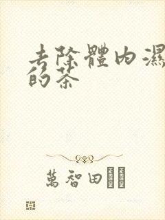 去除体内湿气重的茶