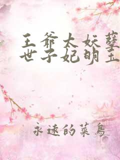 王爷太妖孽绝宠世子妃明玉珑