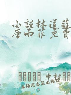 小说林道苏沛真唐雨菲免费阅读