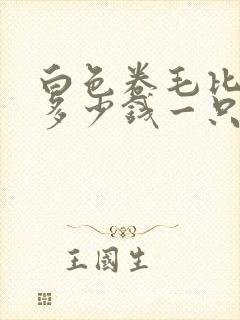 白色卷毛比熊犬多少钱一只