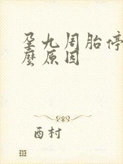 孕九周胎停是什么原因