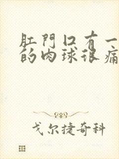 肛门囗有一粒硬的肉球很痛