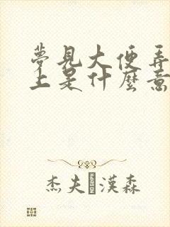 梦见大便弄在身上是什么意思