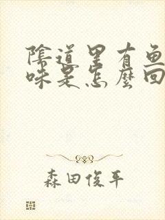 阴道里有鱼腥臭味是怎么回事