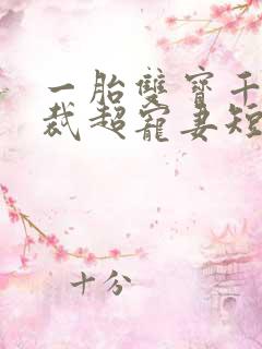 一胎双宝千亿总裁超宠妻短剧