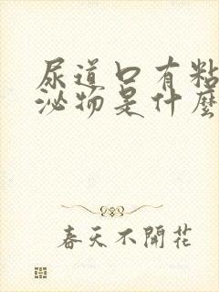 尿道口有粘液分泌物是什么原因