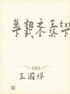 万相之王txt下载全集下载