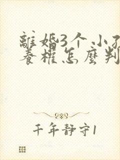 离婚3个小孩抚养权怎么判