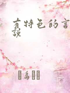 有特色的言情小说