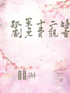 孤军十二时电视剧免费观看高清