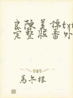 良陈美锦txt完整版番外