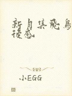 新月集飞鸟集读后感