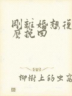 刚离婚想复婚怎么挽回