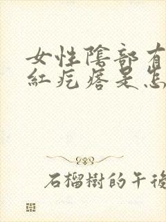 女性阴部有个小红疙瘩是怎么了