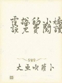 霍总的小娇妻小说免费阅读