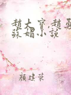 赵大宝,赵勇,苏媚小说