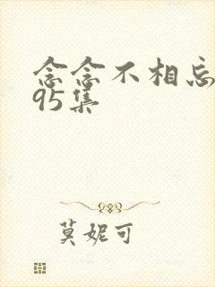 念念不相忘短剧95集