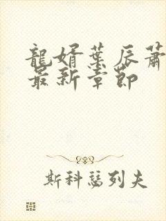 龙婿叶辰萧初然最新章节