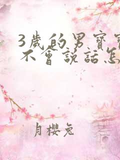 3岁的男宝宝还不会说话怎么办